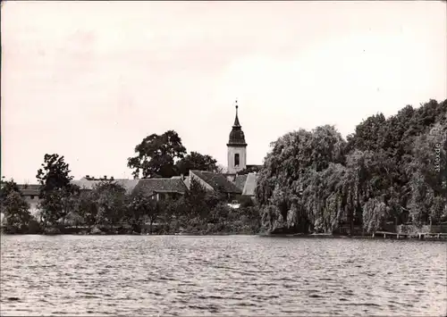 Motzen Mittenwalde (Mark) Blick vom Motzener See aus auf die Kirche 1970