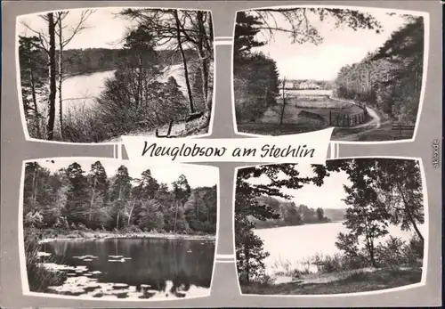 Foto Ansichtskarte Neuglobsow Stechlin Blick auf den See (4) 1971/1969