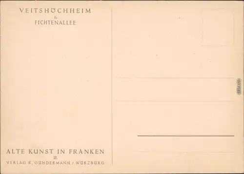 Veitshöchheim Fichtenallee Foto Ansichtskarte  1972