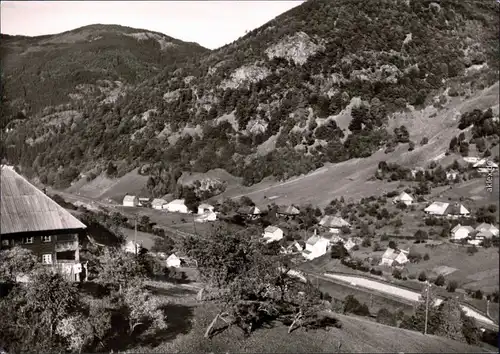 Schlechtnau Blick über das Tal 1965