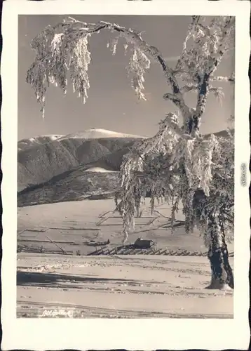 Feldberg Blick auf den Feldberg - winterliche Szene 1967 Privatfoto