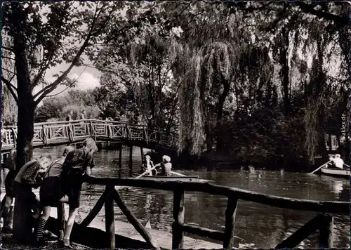 Recklinghausen Teichanlage - Ruderboote Foto Ansichtskarte 1963