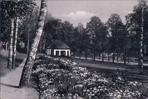 Bad Mergentheim Kurgarten - Pavillon und Blumenbeete 1959