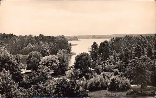 Teupitz Teupitzsee Foto Ansichtskarte 1965