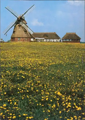 Dorf Mecklenburg Gaststätte "Mecklenburger MühleAnsichtskarte Bild Heimat 1988