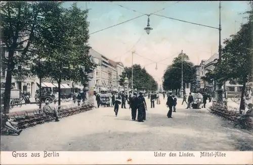 Mitte Berlin Unter den Linden - Mittelallee - belebt Ansichtskarte 1906