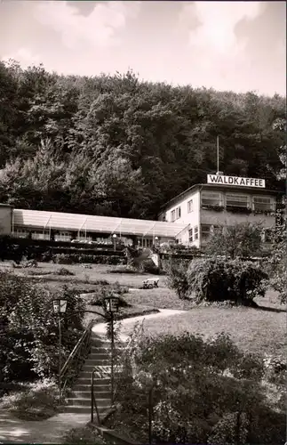 Bad Sooden-Allendorf Waldcafe Ansichtskarte  1961