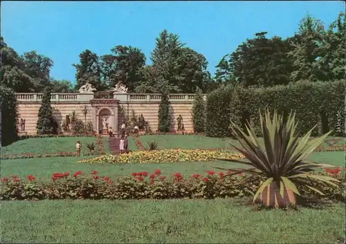 Potsdam Schlosspark Sanssouci: Sizilianischer Garten 1973
