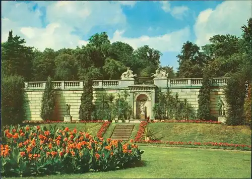 Potsdam Schlosspark Sanssouci: Sizilianischer Garten Ansichtskarte 1980