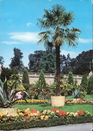 Potsdam Schlosspark Sanssouci: Sizilianischer Garten 1984