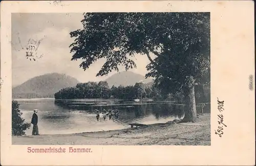 Hammer am See Hamr na Jezeře Sommerfrische, Ruderboot  Spaziergänger 1908