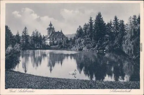 Bad Salzbrunn Szczawno-Zdrój Schwedenteich - Villa 1928 