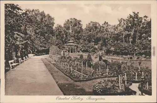Ansichtskarte Kolberg Kołobrzeg Partie im Rosengarten 1926