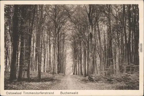 Timmendorfer Strand Buchenwald - Weg 1926 