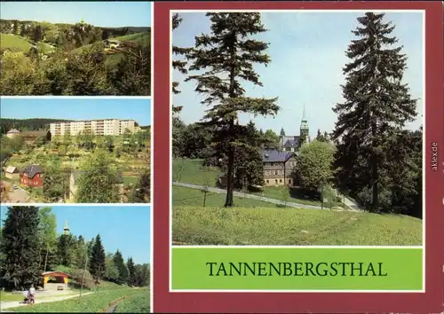 Tannenbergsthal (Vogtland)-Muldenhammer Sommerliche Szene  984