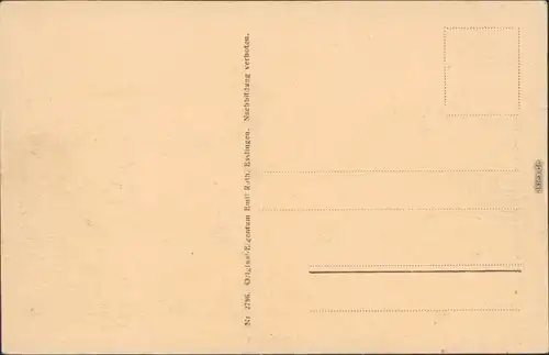 Sigmaringen Panorama-Ansicht Ansichtskarte 1918