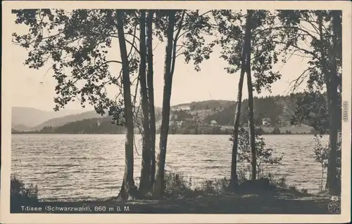 Titisee Blick über dn Titi-See Foto Ansichtskarte 1922