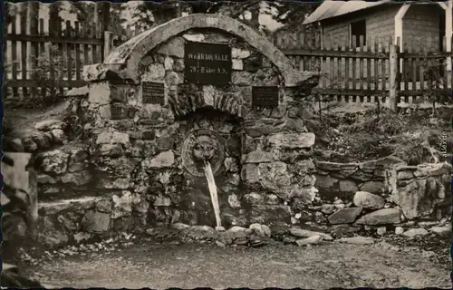 Fehrenbach Werraquelle Foto Ansichtskarte 1959