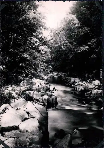 Schwarzburg Partie an der Schwarza 1963