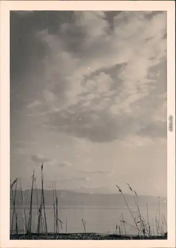 Langenargen am Bodensee Schäfchenwolken über dem Bodensee 1955 Privatfoto
