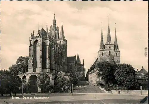 Erfurt Dom und Severikirche Foto Ansichtskarte 1960