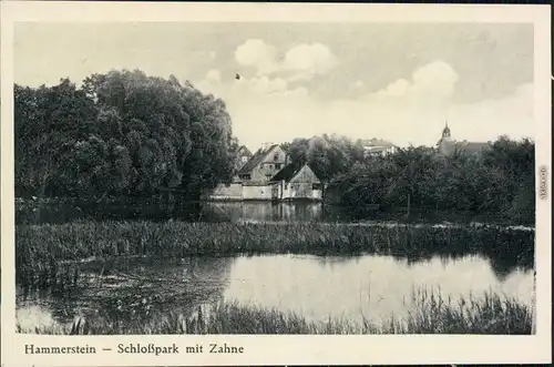 Hammerstein Czarne Schloßpark mit Zahne  Grenzmark Ansichtskarte 1924