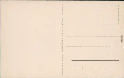 Allenstein Olsztyn Partie im Stadtwald Ansichtskarte  1922