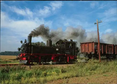 Naundorf (Sachsen) Dampflokomotive: Güterzug bei Naundorf 1998