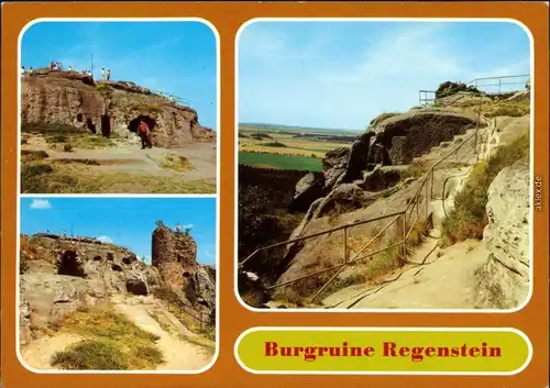 Blankenburg (Harz) Burgruine Regenstein Ansichtskarte 1982