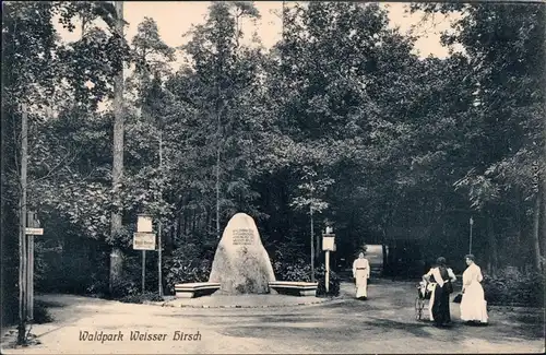 Weißer Hirsch Dresden Gedenkstein - Waldpark Loschwitz Ansichtskarte  1918