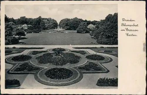 Dresden Großer Garten: Blumenbeet 1934