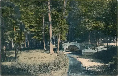 Loschwitz -Dresden Dresdner Heide - Priessnitzgrund Ansichtskarte 1910