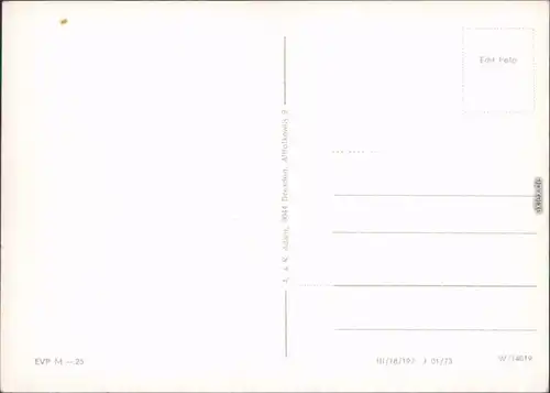 Wehlen Panorama-Ansicht, Straßenpartie  1973