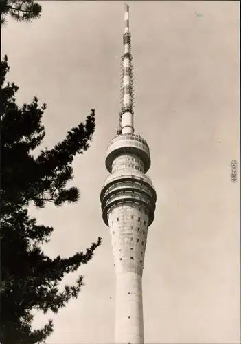 Pappritz Dresden Fernsehturm Ansichtskarte x 1970