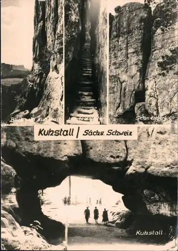 Kirnitzschtal Blick vom Kuhstall, Himmelsleiter, Schneiderloch, Kuhstall 1963