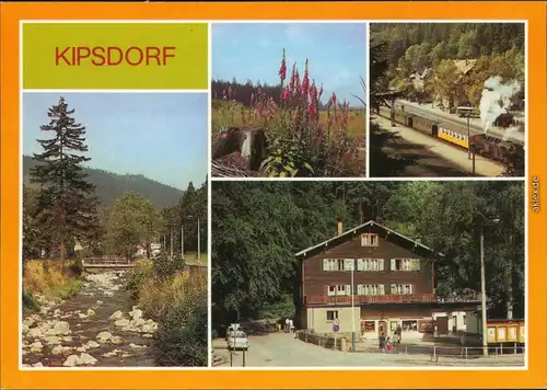 Kipsdorf Altenberg (Erzgebirge) An  Schmalspurbahn, "Bunte Truhe" 1987