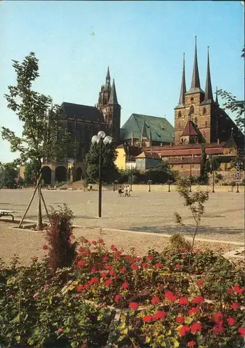 Erfurt Erfurter Dom und Severikirche  Ansichtskarte  1989