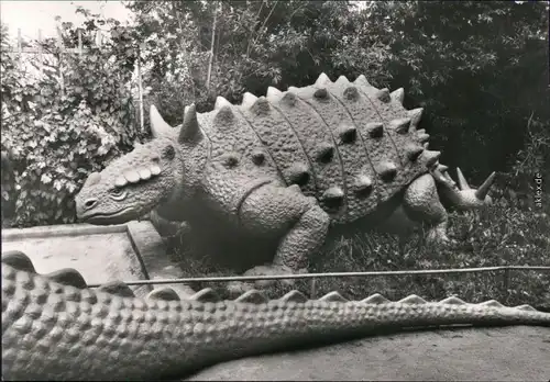 Kleinwelka Mały Wjelkow Saurierpark: Ankylosaurus 1984