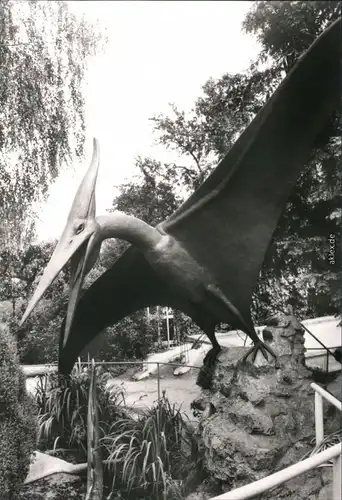 Kleinwelka Mały Wjelkow Saurierpark: Pteranodon 1984