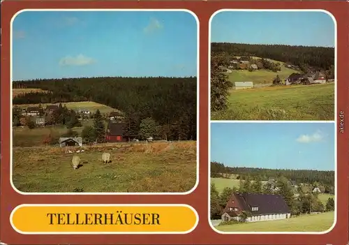 Tellerhäuser-Breitenbrunn (Erzgebirge) Panorama-Ansichten 1985