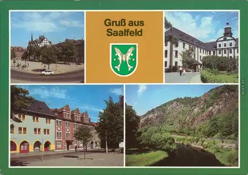 Saalfeld (Saale) Blick zum Markt, Schloß, Markt, Naturschutzgebiet "Bohlen" 1987