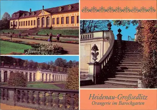 Großsedlitz Heidenau  Ansichten von der Orangerie im Barockgarten 1981