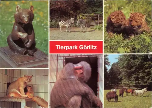 Görlitz Zgorzelec Plastik "Kleiner Bär" Leoparden, Pumas, Mantelpavian,   1980