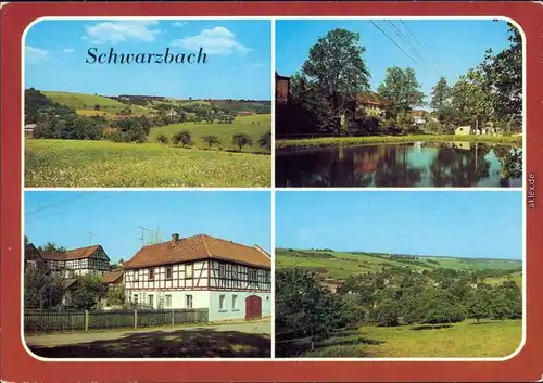Bad Schwarzbach (LK Greiz) Kr. Gera Panorama-Ansicht, Teich, Straßenansicht 1984