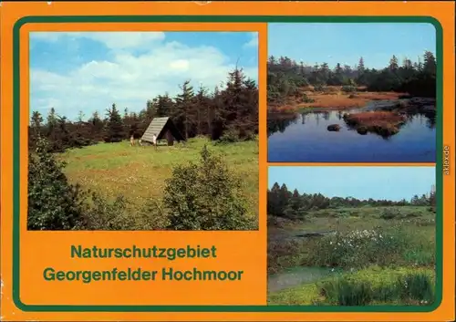 Zinnwald Georgenfeld-Altenberg (Erzgebirge) Georgenfelder Hochmoor xx 1985