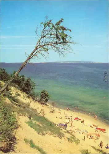 Baabe Ostseeküste Ansichtskarte 1981