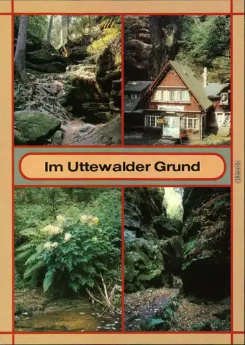 Wehlen Heringsloch, Gaststätte "Waldidylle", Waldgeißbart Felsentor 1986