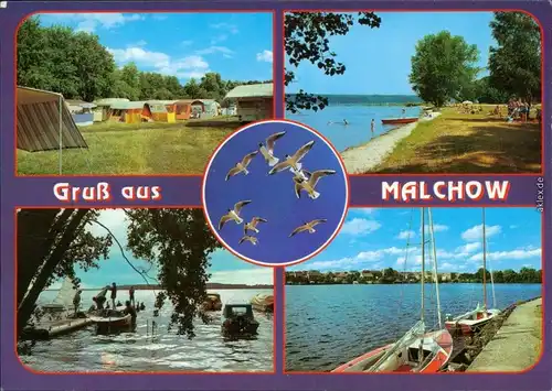 Malchow (Mecklenburg) Campingplatz, Strandpartie, Bootssteg mit Booten (2) 1995