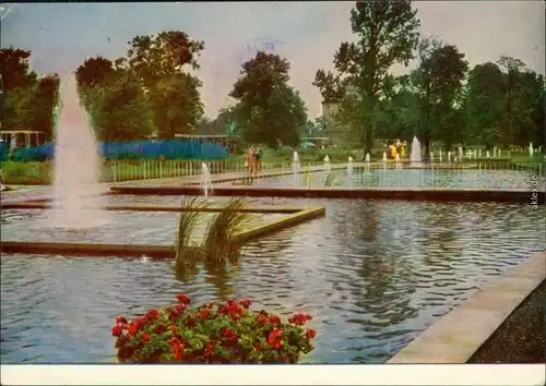 Erfurt Internationale Gartenbauausstellung der DDR (IGA): Springbrunnen  x 1961