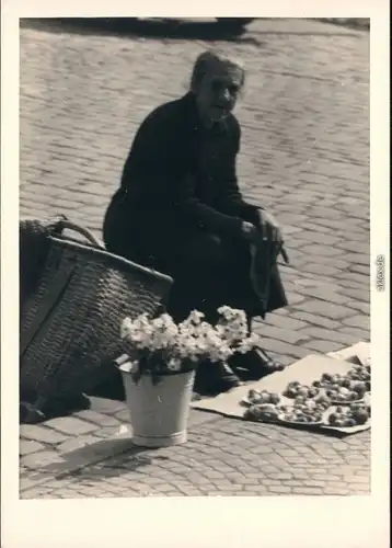 Regensburg Pilzverkäuferin auf den Regensburger Markt 1954 Privatfoto